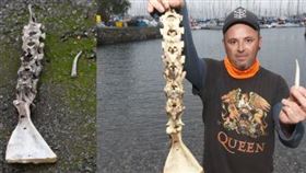 班恩遛狗時撿到了一根「美人魚骨骸」（圖／翻攝自Ben Landricombe臉書）