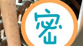 一隻美洲豹闖入旅館後，躲在竹製沙發底下。（圖／翻攝自阿薩姆邦警方）