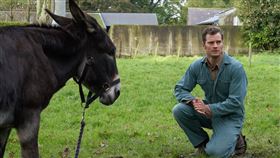 真愛鄰距離,艾蜜莉布朗,格雷,總裁,傑米道南　（圖／台北双喜提供）