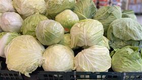 ▲高麗菜（圖／讀者提供）