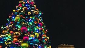 聖誕節，聖誕樹（圖／翻攝自unsplash）