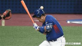 WBC,中華隊,南韓,李大浩 圖／記者林敬旻攝