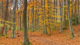 名家專用／草根影響力新視野（勿用）