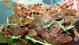 萬里蟹三足鼎立！原來在地漁民最愛的竟然不是最高價的花蟹（圖／新北市漁業處提供）