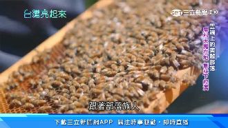 雲端美麗部落！科大攜在地創林下經濟