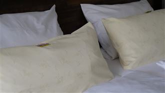 新年接好運！「2物」壓枕下7天送走壞運氣