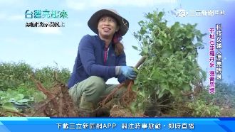 科技女強人漂亮轉身　種丹參奪青農獎