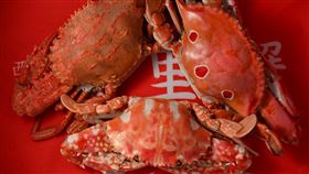 三點蟹、花蟹、石蟳　牠的膏黃最可口(新北市政府農業局提供)