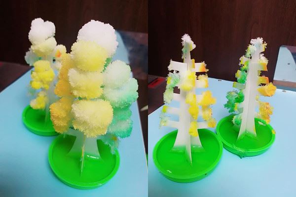 這舉動秒毀紙聖誕樹　網驚：童年回憶