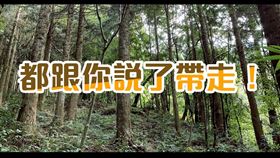 圖／翻攝自林務局臉書,加里山