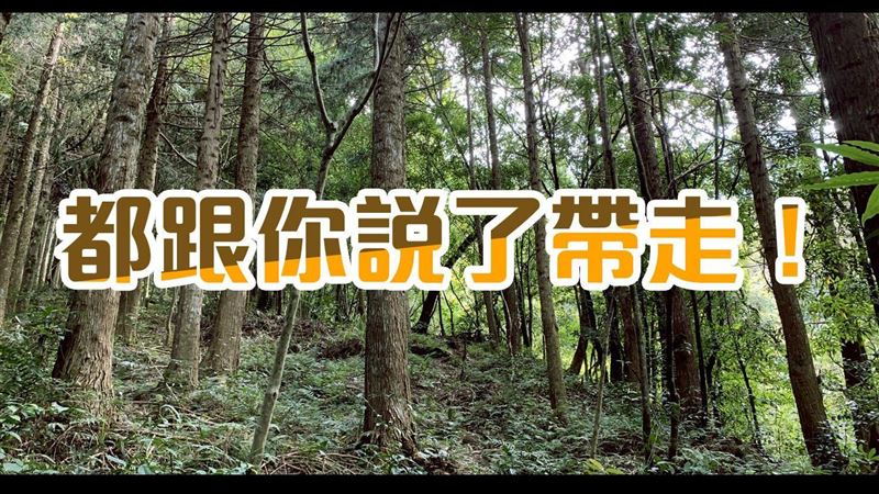 台灣富士山「小白花」入侵！林務局怒