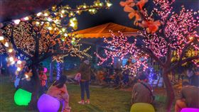 ▲「花見英雄湯」以夢幻粉色櫻花樹燈為元素。（圖／花蓮縣政府提供）