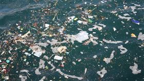 中研院最新研究發現，塑膠微粒會影響潮間帶主要生物紋藤壺繁衍後代，且塑膠愈小、毒性愈強，大眾應注意微塑膠對海洋的危害。（示意圖／翻攝自Pixabay圖庫）
