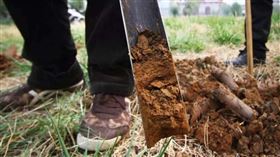 大陸,河南,洛陽,盜墓,摸金校尉,後溝村（圖／翻攝新浪微博 說歷史）