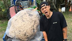 竇智孔,虎頭蜂,毒尿,中斷,拍攝。圖／八大電視提供