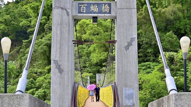 踏青景點再+1　太平蝙蝠洞步道完工