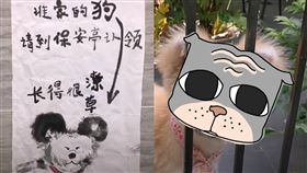 走失,狗狗,傳神,秋田犬,水墨畫