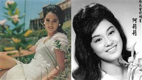 何莉莉
合成圖／翻攝自微博帥帥兒子唱tante好棒、傲珊妙竹語琴