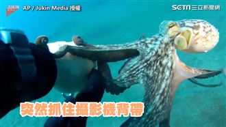 潛水慘遭搶劫　網友驚：兇手4ni！