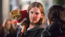 遇見街貓BOB,A Gift from Bob　（圖／采昌提供）