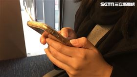 示意圖-閨密,低頭族,滑手機,簡訊(圖/資料照)