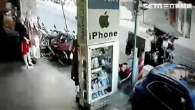 新北市，新莊，變色龍，竊盜，籠子，日光浴