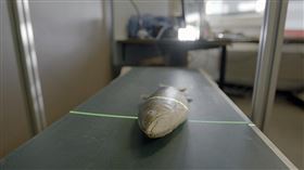 名家專用／草根影響力新視野（勿用）