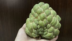 釋迦（南投醫院提供）