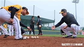 中信兄弟林威助。（資料圖／記者王怡翔攝）