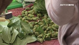 文 持刀搶檳攤1200