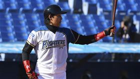 ▲48歲的前火腿隊明星野手新庄剛志。（圖／美聯社／達志影像)