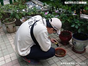 疾管署防疫人員於新北市新莊區本土登革熱個案活動地，進行孳生源查核。（圖／疾管署提供）