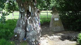 在法國北部，人們相信掛在樹上的破衣能阻擋瘟疫，患者會將衣服掛在「破布樹」上，以期康復，在武漢肺炎疫情大流行之際，也可看見樹上掛著外科口罩。（圖取自facebook.com/lescontesfantastiques）