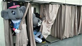 兄弟吉祥物小翔和姊姊艾比聽到林威助接任總教練，決定躲起來。（圖／兄弟球團提供）