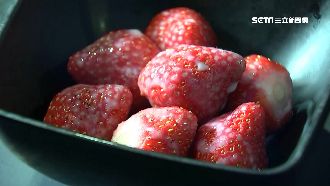 粉紅商機！業者推「草莓吃到飽」吸客