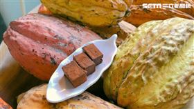 福灣巧克力（許雅惠攝影）