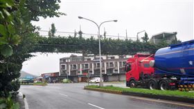 宜蘭頭城天橋長滿灌木  民眾誤認綠美化成果宜蘭縣頭城國小旁過去作為學生上下課的一座省道天橋，近年來因學生通勤動線改變，長期缺乏管理維護，竟然長滿灌木；有民眾認為，若從天橋下方向上看，還誤以為是美化造景成果。中央社記者沈如峰宜蘭攝  109年12月7日