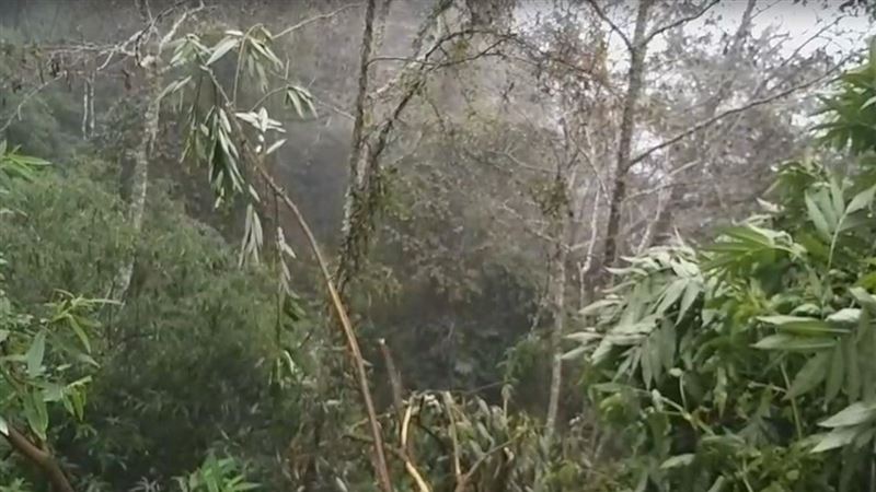 新／中橫轎車墜崖　落40M卡邊坡！