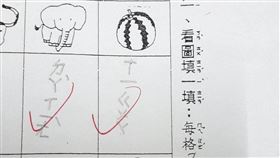小一童寫看圖填答　無尾熊答這網笑翻（圖／翻攝自爆笑公社臉書）