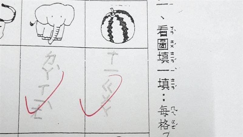 小一童寫問答　無尾熊填2字網笑吃貨