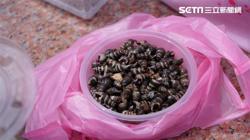 一口接一口吸的燒酒螺　其實不叫螺？