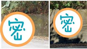 太平　圖騰（圖／翻攝畫面）