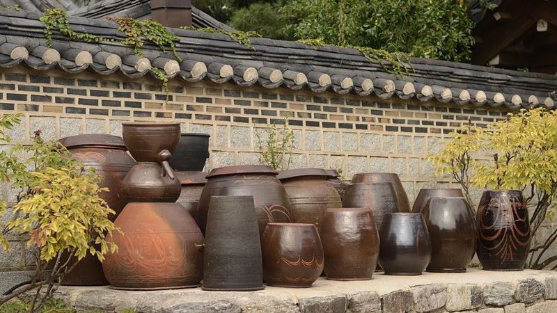 韓教授駁泡菜源於中國　華春瑩笑回答