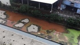 新北市，泰山，貴子坑溪，紅配綠，沉積