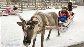 名家專用／草根影響力新視野（勿用）