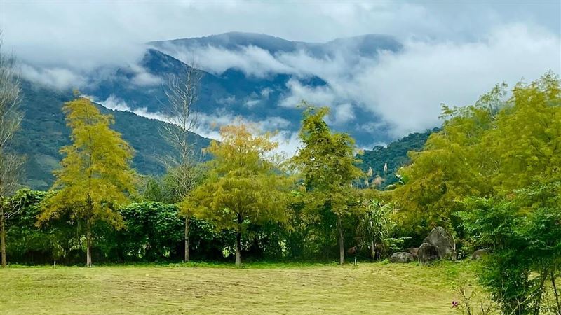 花蓮泡湯好去處！療癒系溫泉松邑莊園