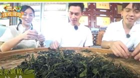 品茗冬茶是時侯　坪林採茶體驗享茶點