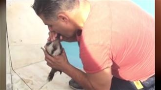 鳥溺水奄奄一息　暖男對口CPR搶救