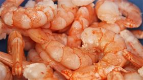 蝦子,溫水,煮法,白酒。（圖／翻攝自Pixabay）