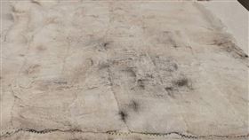 抹布（圖／讀者提供）